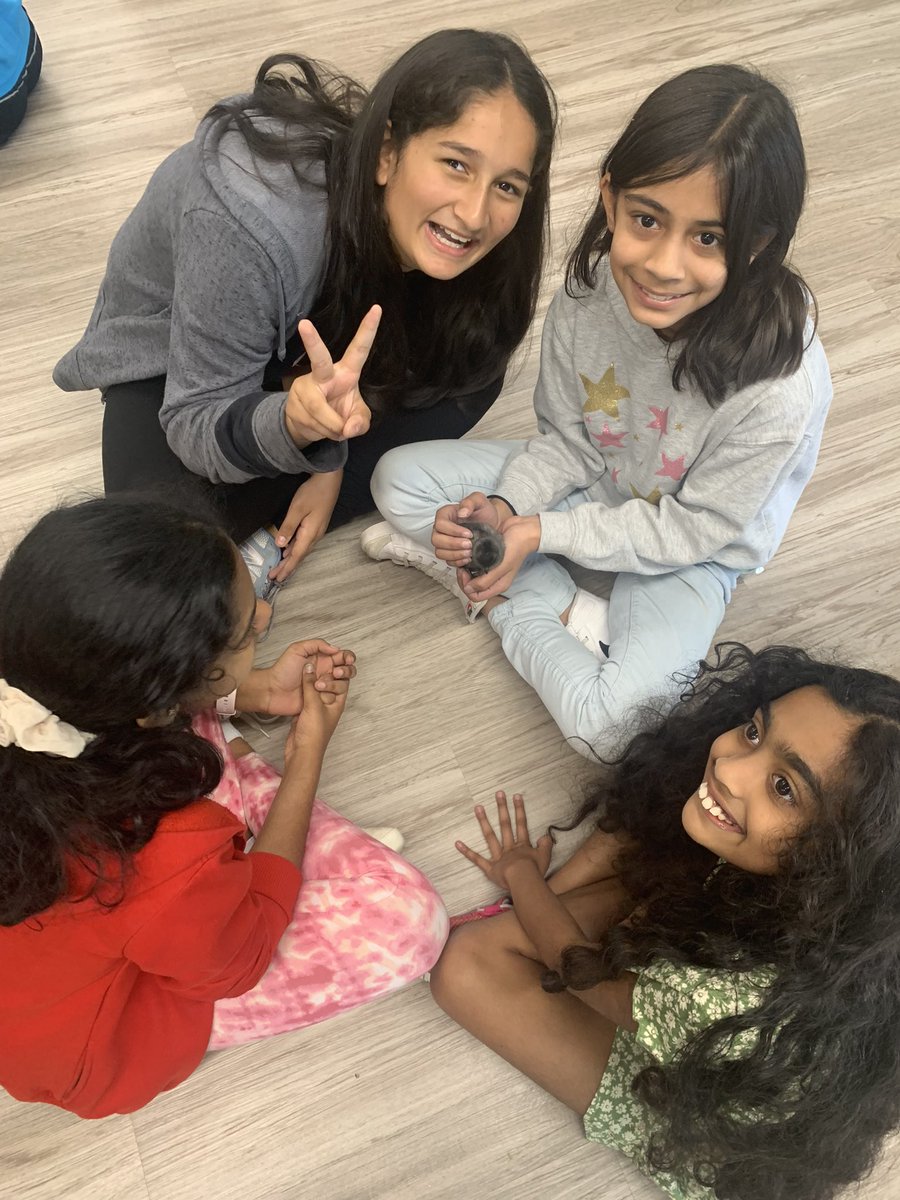 Mrs. Danker (Alberse) tweet media