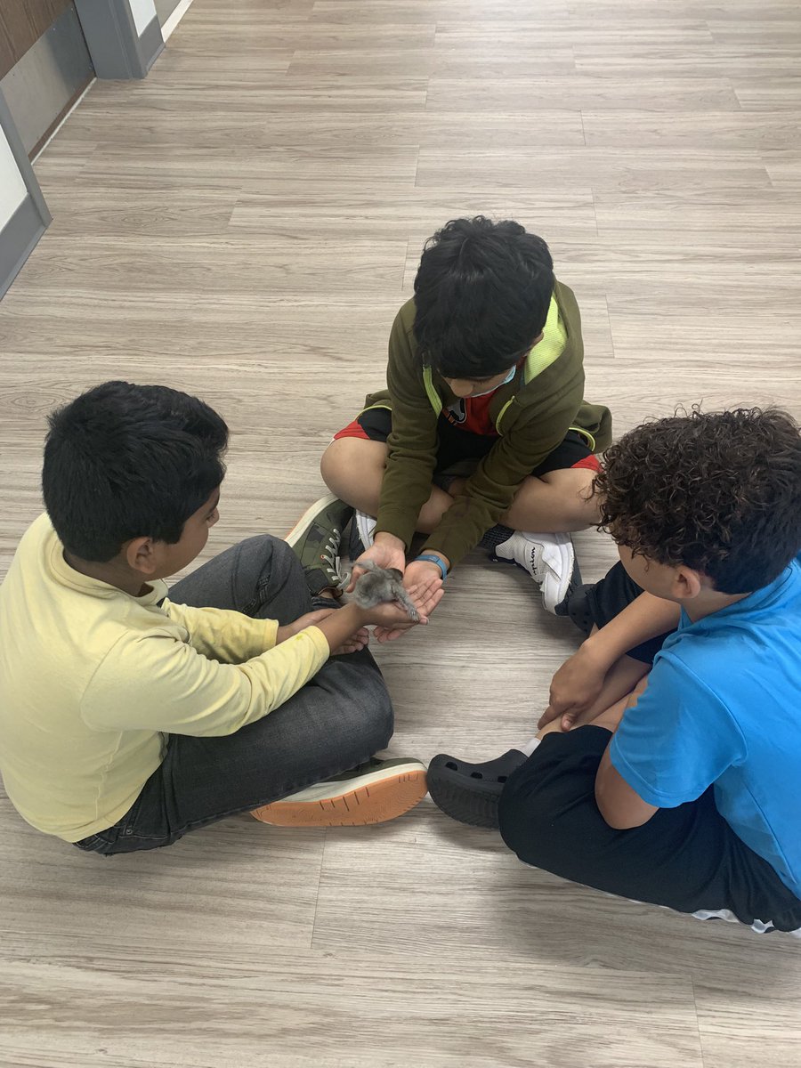 Mrs. Danker (Alberse) tweet media