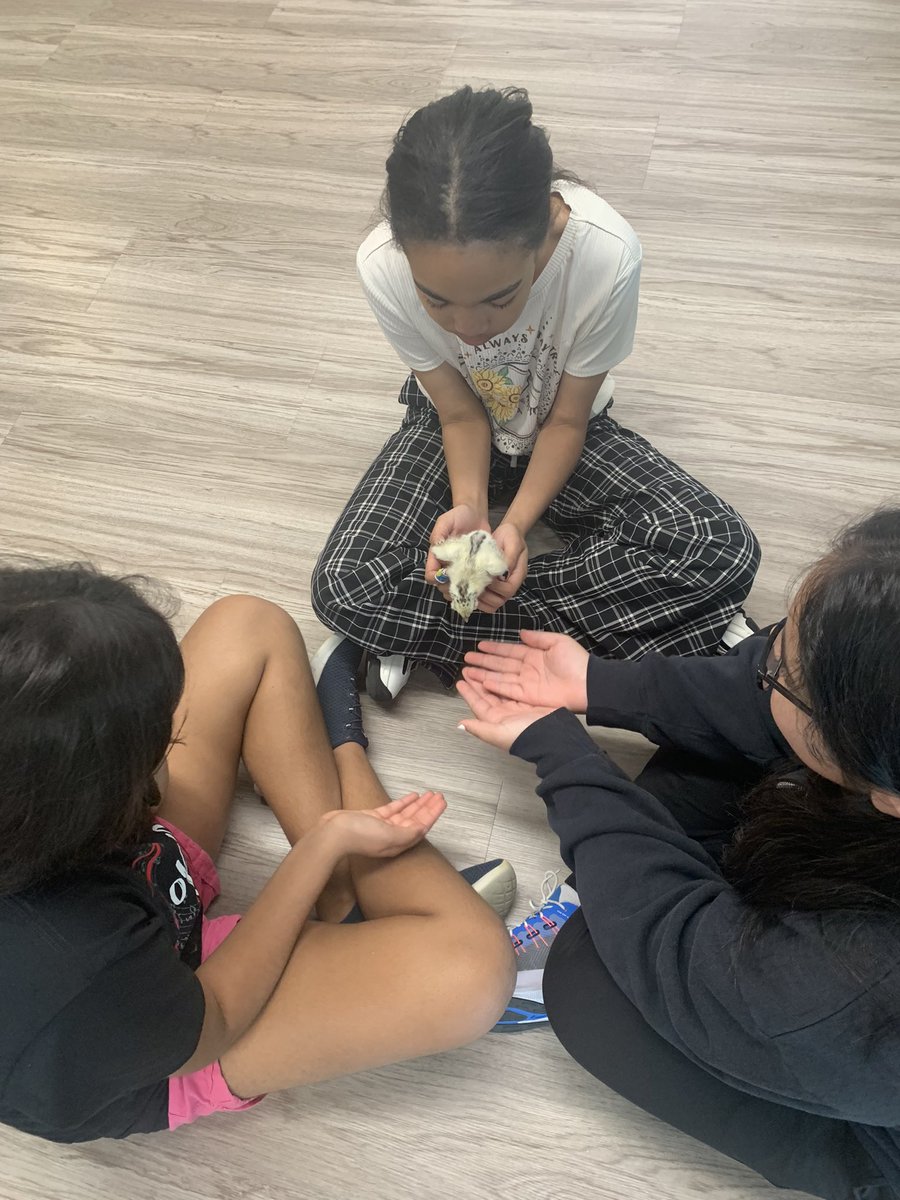 Mrs. Danker (Alberse) tweet media