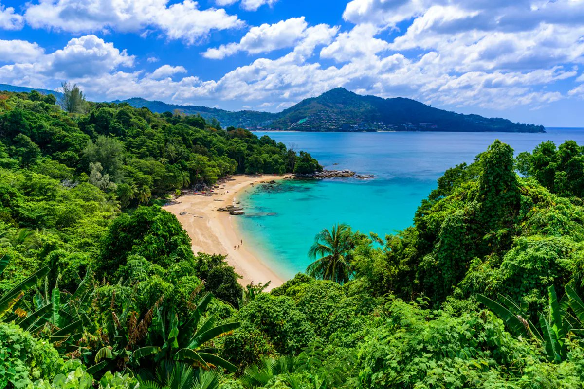 LA NACION Revista tweet media