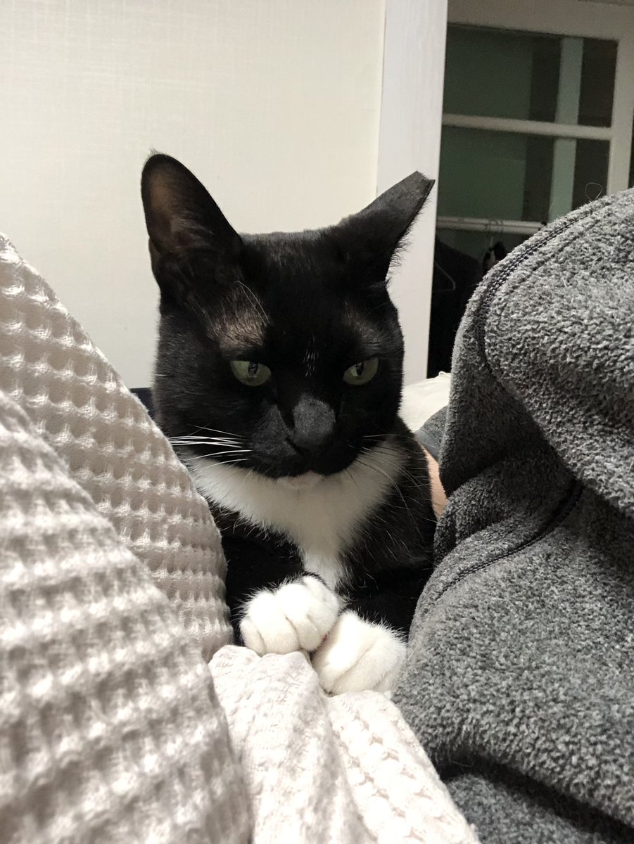 도도다다냥 (@dodo_dadada) on Twitter photo 