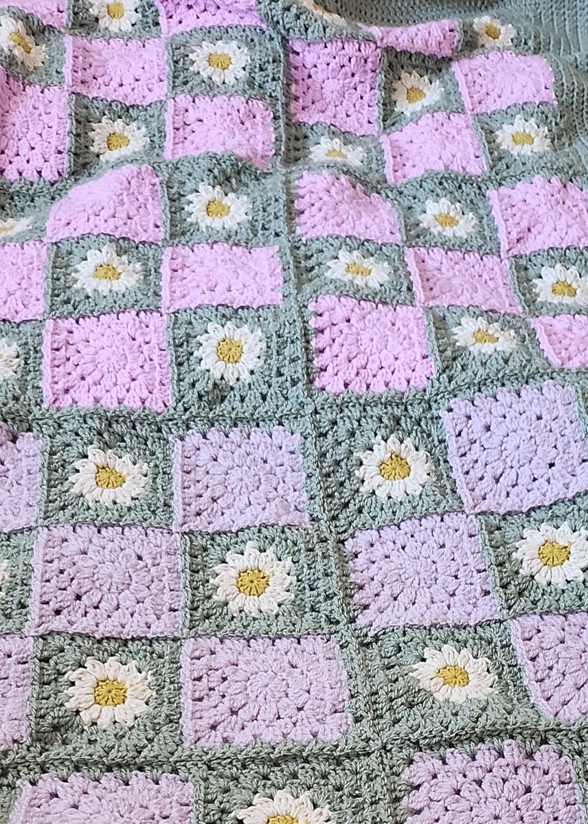 lily 🦋 tweet media