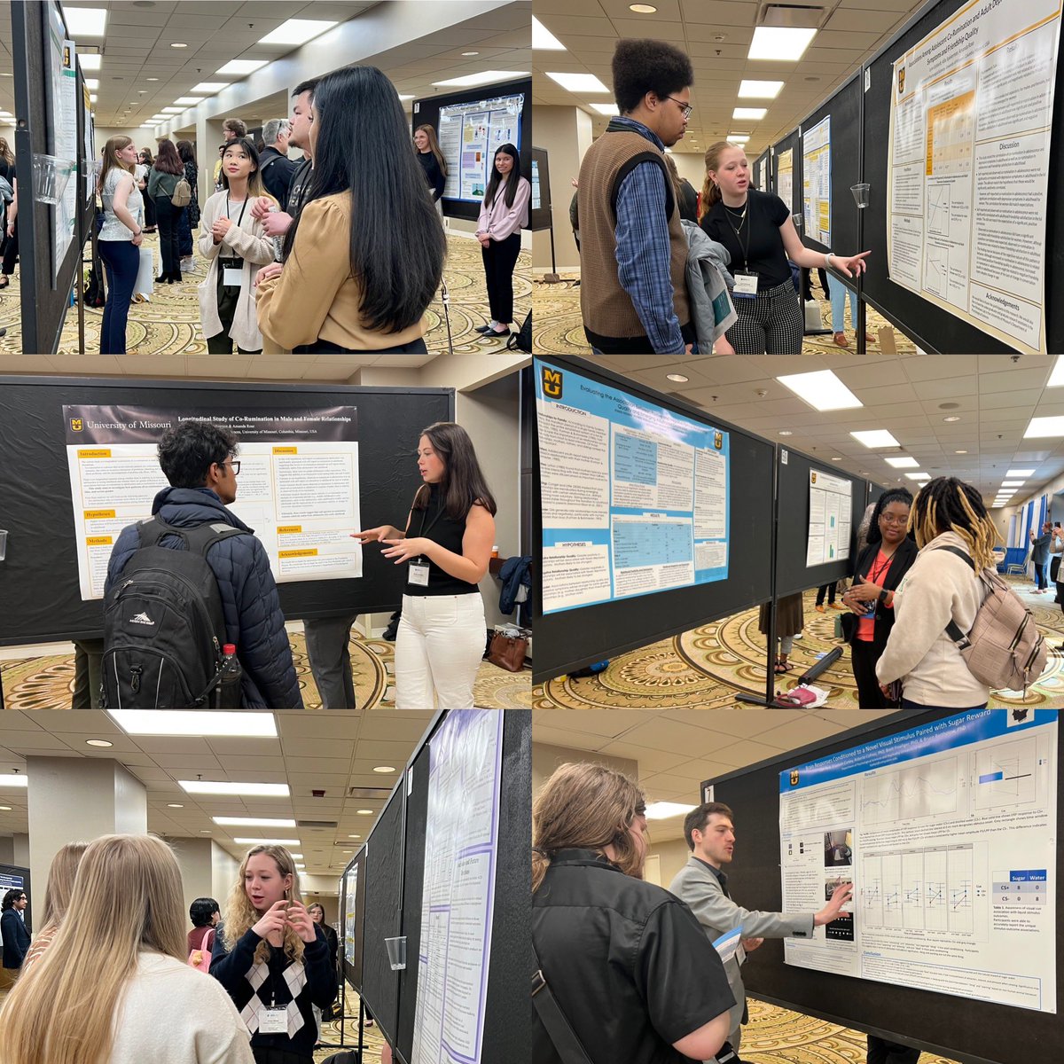 CampioneBarr's tweet photo. Our 40 @MizzouPsych students presenting at @MidwesternPsych this year are off to an amazing start!! #mpa2023 https://t.co/6Az5iCIbRb