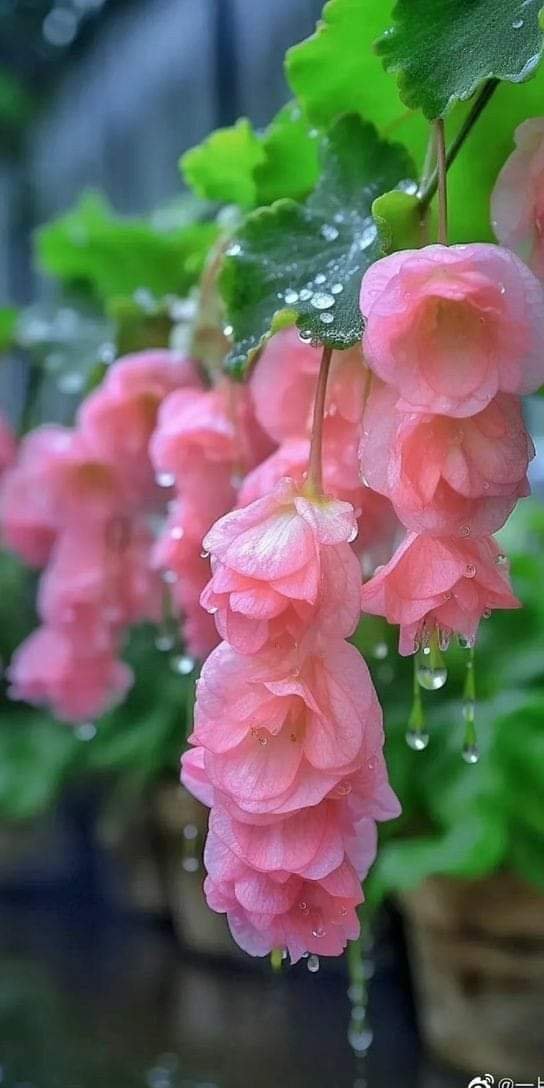 ○༺𓂂𓂃ᗙ 𝔐𝔞𝔯𝔱𝔦𝔫 ᗛ𓂃𓂂༻○ tweet media