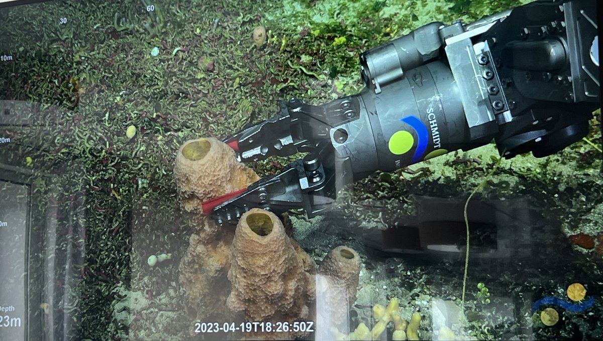 Kate Lane tweet media