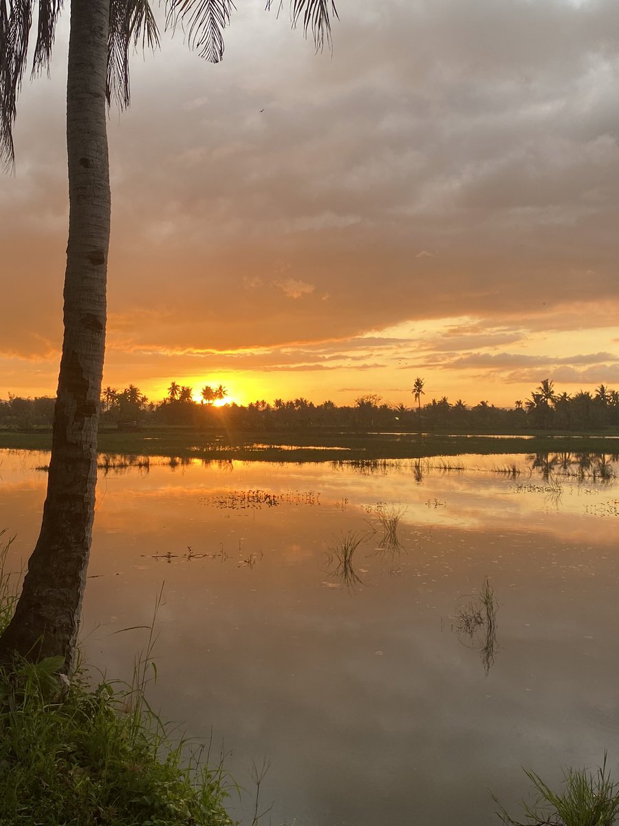 earaniini's tweet photo. i'm asking those who love the outdoors to post a picture. a picture that YOU took. just a pic, no description. the goal is to regain peace and harmony without negativity. please copy the text, put a picture on YOUR page, and let's look at these beautiful pictures. here's mine. https://t.co/PUO0bGN04T