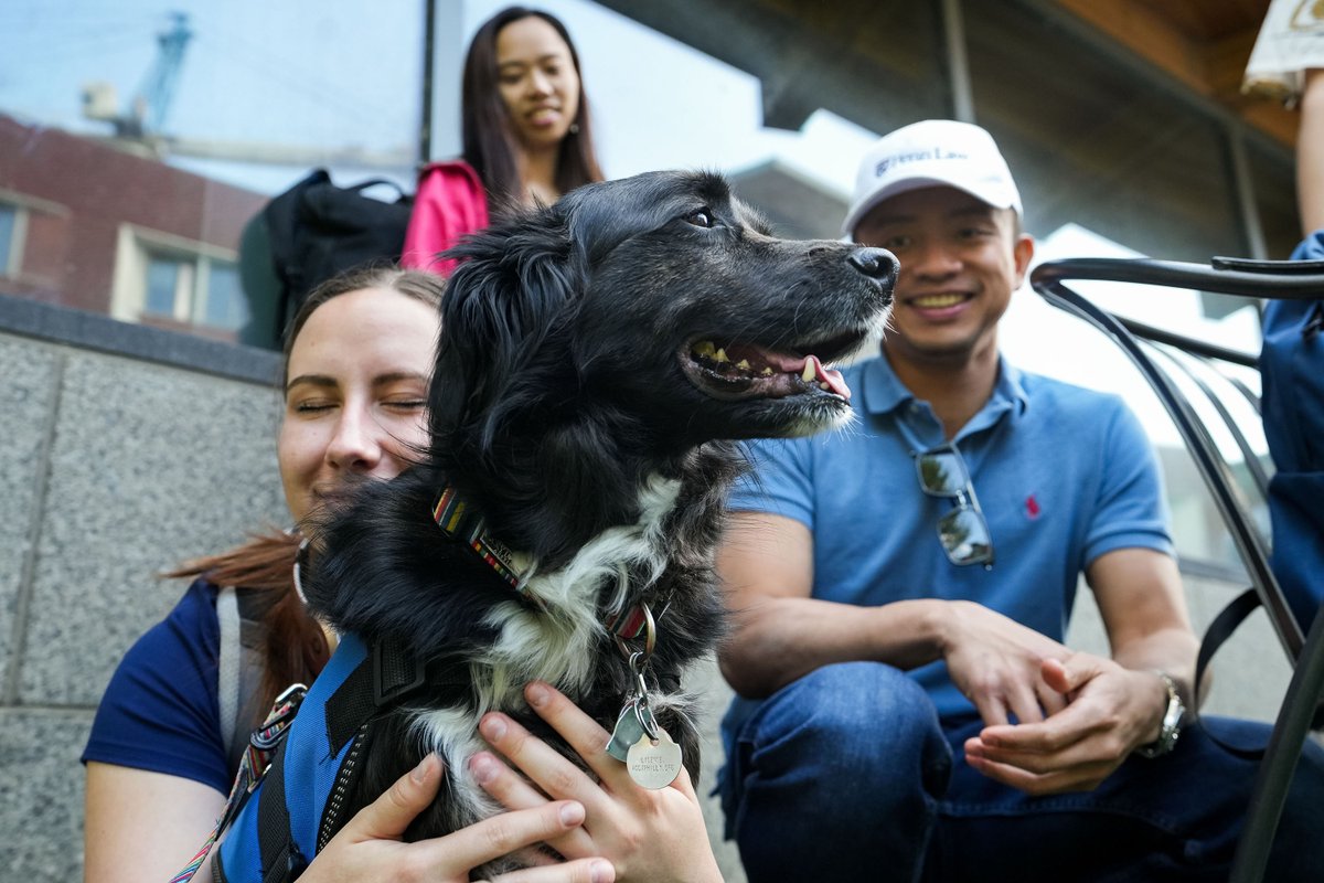 pennlaw's tweet photo. Mood: Boosted ✅ 

Thank you, Comfort Caring Canines Therapy Dogs, for the memorable study break 🐕‍🦺 About 150 #PennCareyLaw students enjoyed a meet and greet with the pups! https://t.co/1EwNGyvwyy