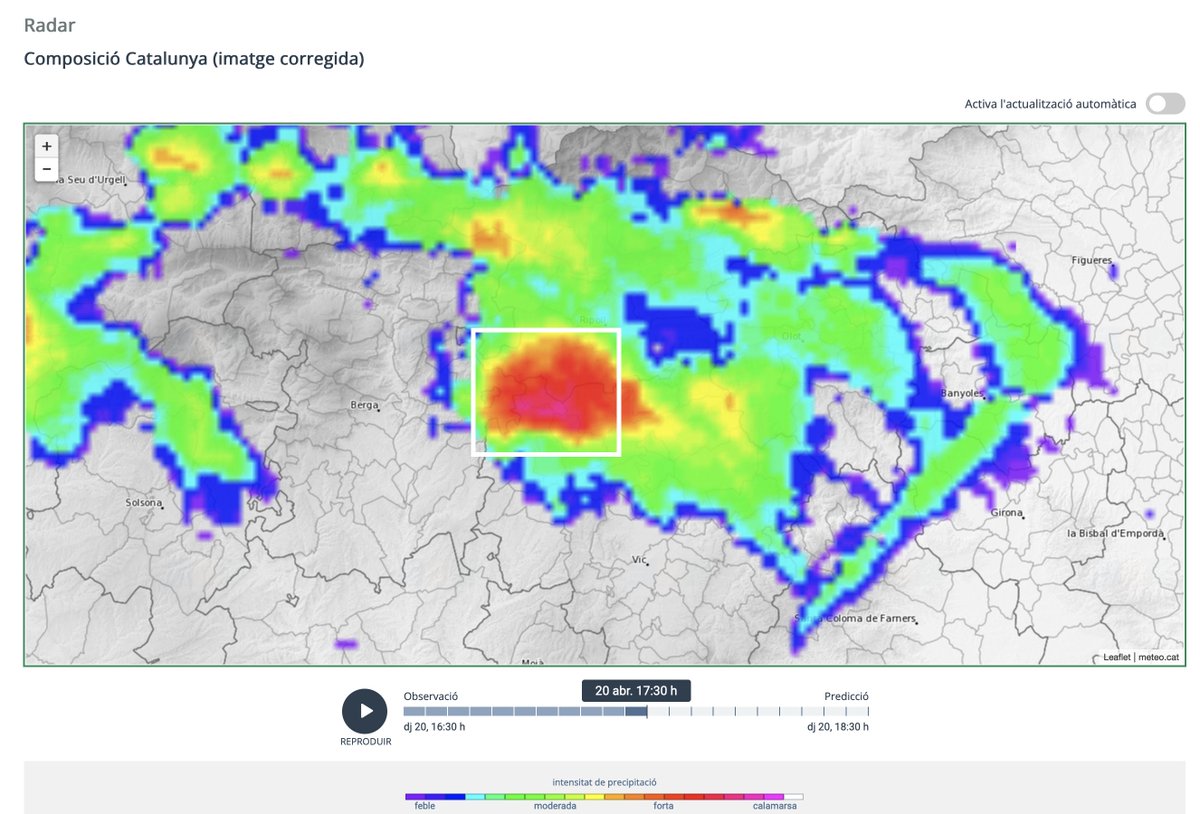 Àlex Van der Laan tweet media