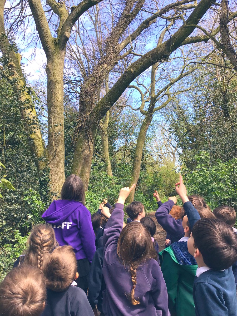 M1ssCunningh4m's tweet photo. Year 1 loved a walk around the local forest looking for signs of different plants and living things😊🌿☀️🌸 @Tockwithcofe #TockY1 #TockScience https://t.co/k9MO6fQulT