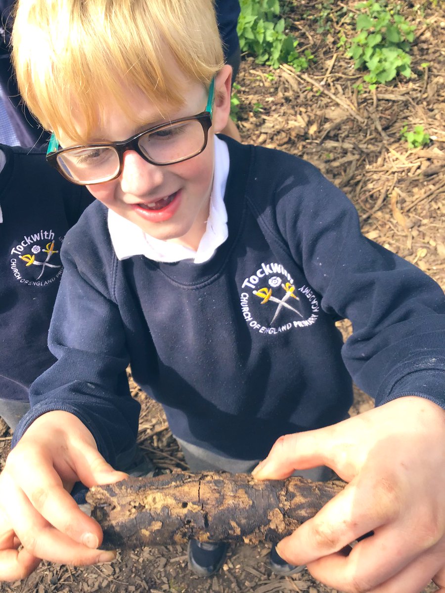 M1ssCunningh4m's tweet photo. Year 1 loved a walk around the local forest looking for signs of different plants and living things😊🌿☀️🌸 @Tockwithcofe #TockY1 #TockScience https://t.co/k9MO6fQulT