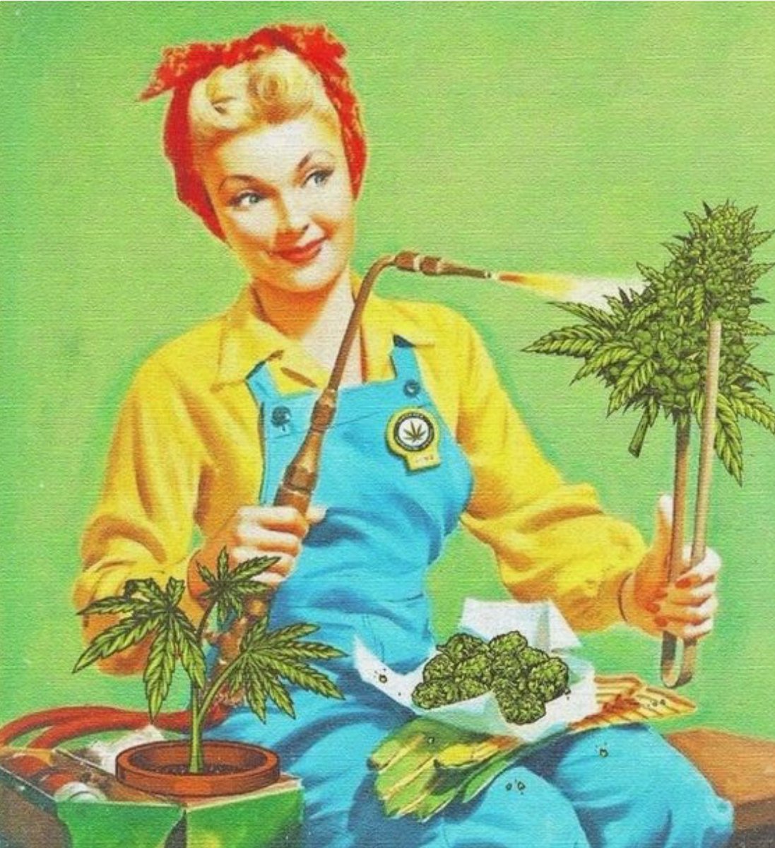 Ascending1's tweet photo. A #420🍁 that is three years in the making! Happy 4/20 day! #ontheblog Here is a round up of brands and products that stand out! (Nab a #DiscountCode while you are there!) https://t.co/YMbg6ZBZKQ https://t.co/bDMMn8H20X