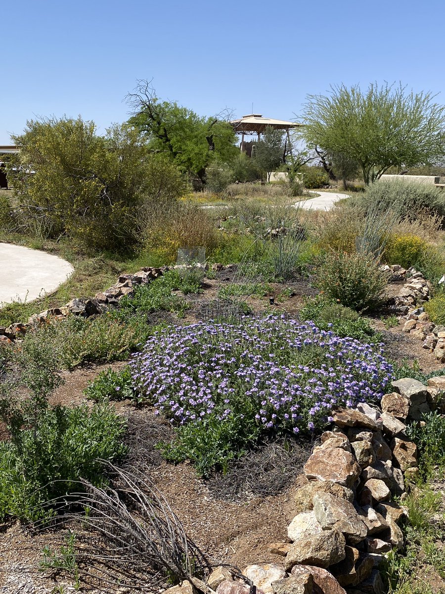 Richard Rosales tweet media