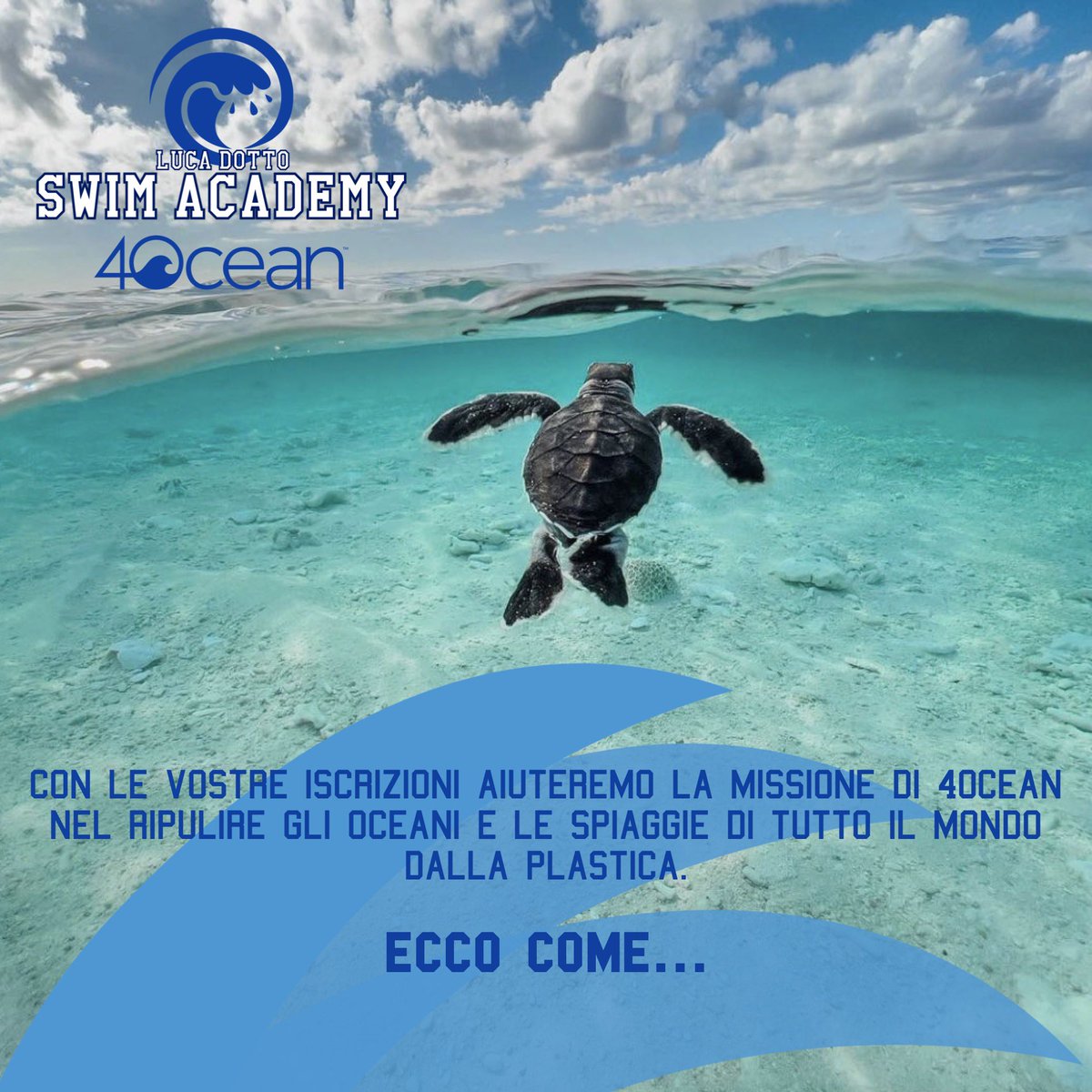 Luca Dotto tweet media