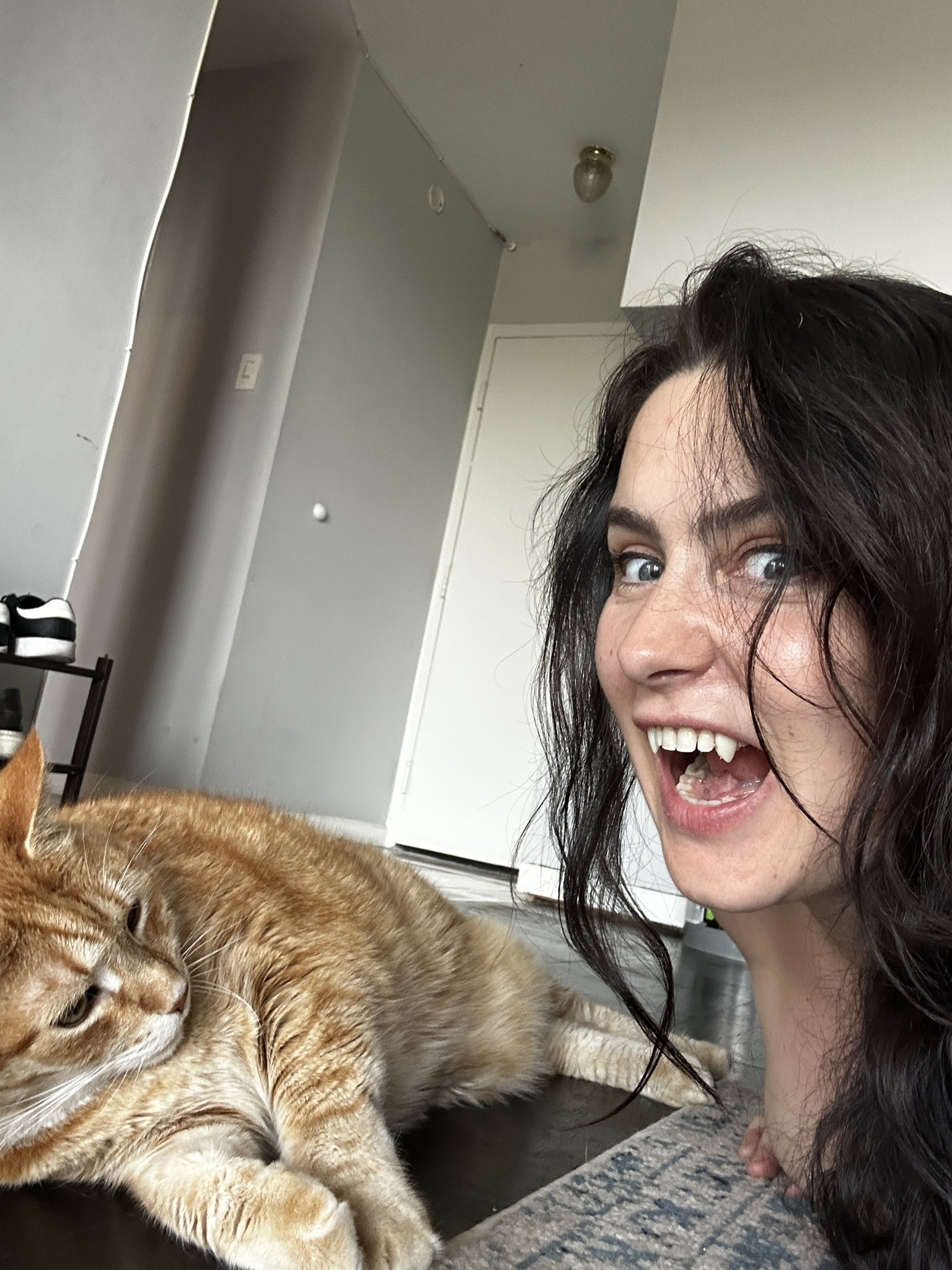 Tilly McReese Booking Fetcon! on Twitter "My cats are not fazed lol