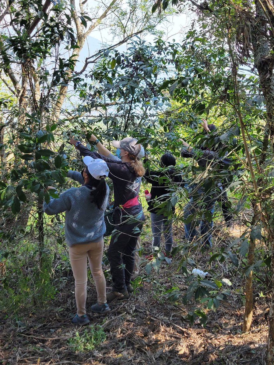 GVisionaries's tweet photo. Hola from Guatemala! Hola from Guatemala! Our current immersion students have just a  couple of days left before they return home to Seattle. Here are some photos from the last 2 weeks. #globalcitizens #youthleadership #internationalfriends https://t.co/mj38qhqcXQ
