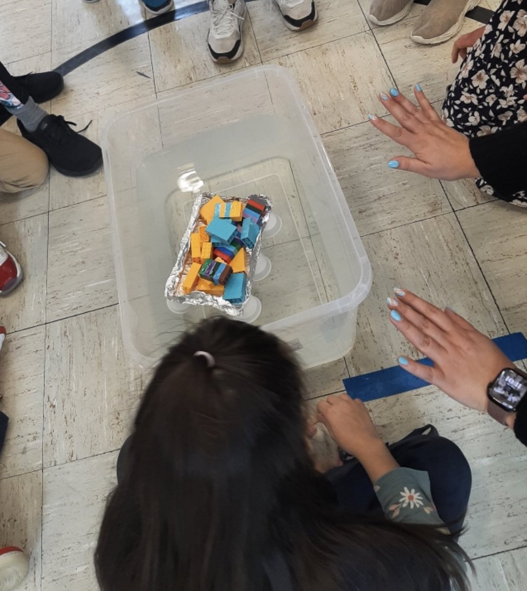 Lucy Demikoff tweet media