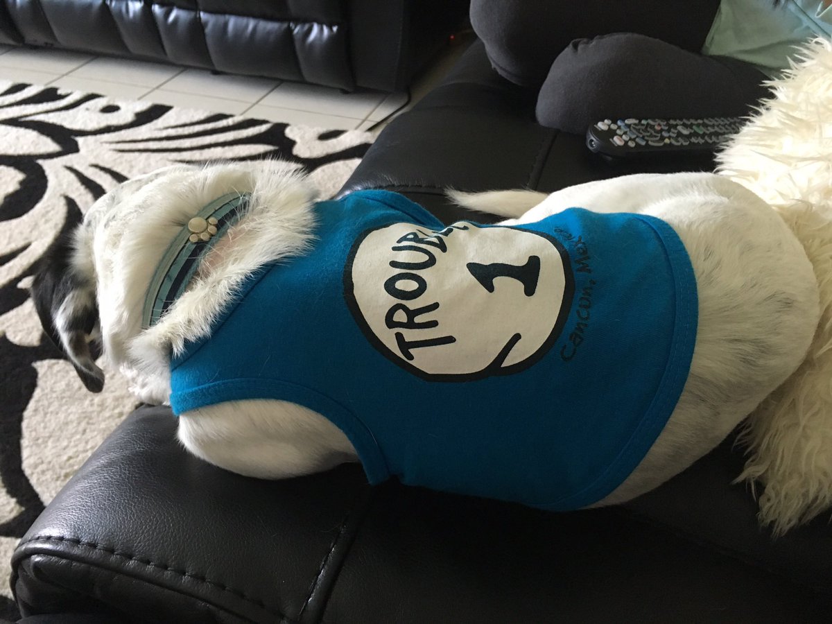 MicheleMH1's tweet photo. Happy 14th birthday to Hercules! https://t.co/rOYBgWgOqc