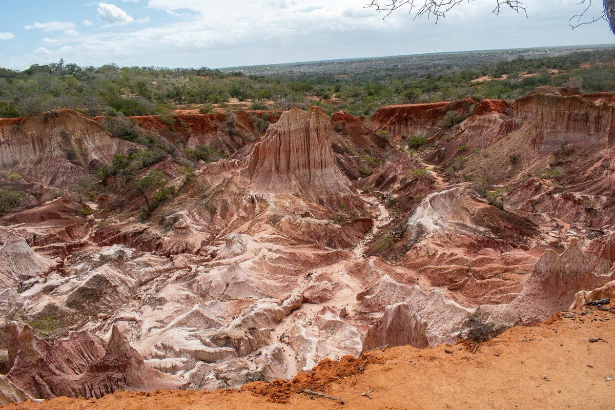 githukuallan's tweet photo. #TBT Hell’s Kitchen; The coloured sandstone canyon.
An amazing geological formation in Marafa, Malindi, Kenya.
.
.
.
#Malindi #Marafa #HellsKitchen #Kenya #naturebeauty #NaturalBeauty #Canyon#Depressions #Geology #NaturePhotography #LandscapePhotography #CoastalKenya https://t.co/CxqMCzkJI6