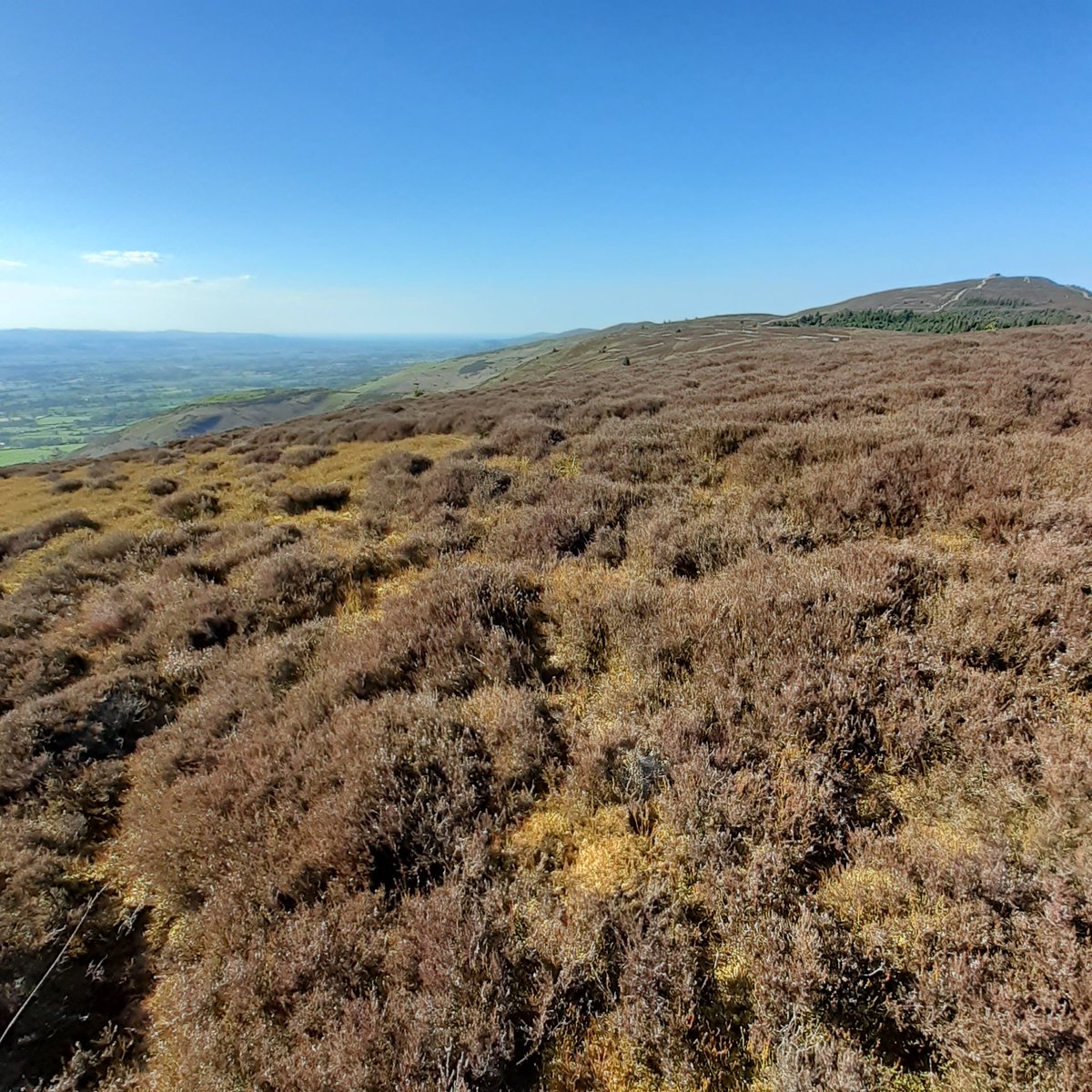 A perfect day on #Clwyd_Dee_AONB North Wales for sampling heather for #TheGreatFuelMoistureSurvey doing our bit for wildfire research.