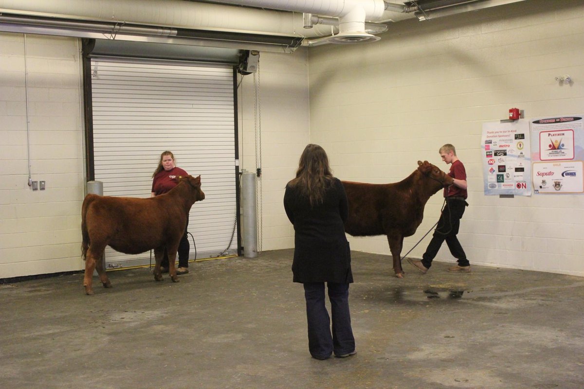 Beef Farmers of Ontario on Twitter "RT LucyMcNiven As this year's