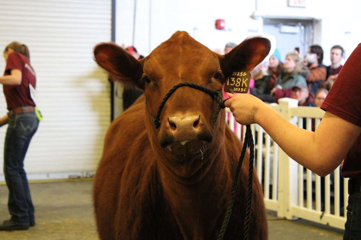 Beef Farmers of Ontario on Twitter "RT LucyMcNiven As this year's