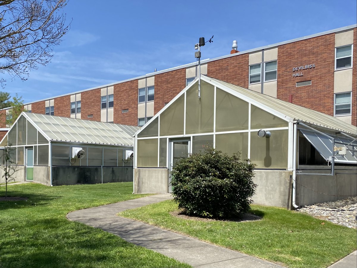 The Flyer tweet media