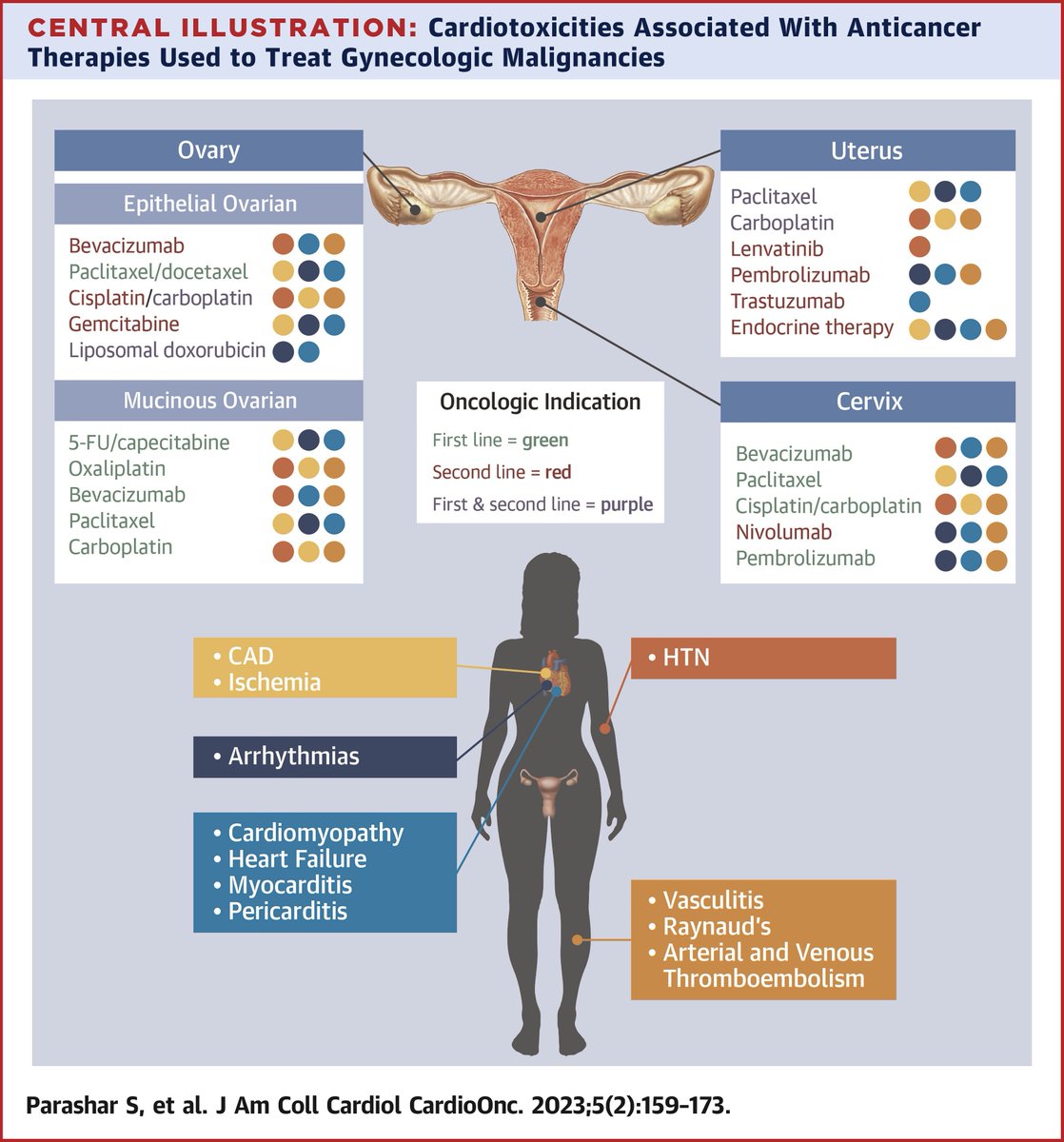 A comprehensive #JACCCardioOnc state-of-the-art review of cancer treatment-related cardiovascular toxicity in gynecologic malignancies: bit.ly/3V02JL6

#GynOnc #GynCSM #CardioOnc #cardiotoxicity #CardioTwitter @emorywomenheart @sdent_duke