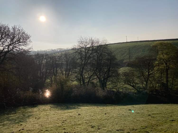 FarmerJamesHT's tweet photo. That’s more like it! #SpringtimeOnTheFarm #northcornwall #farmholidays #selfcatering cottages #petfriendly #childrenfriendly #bookdirect https://t.co/i7h8NIGSdF