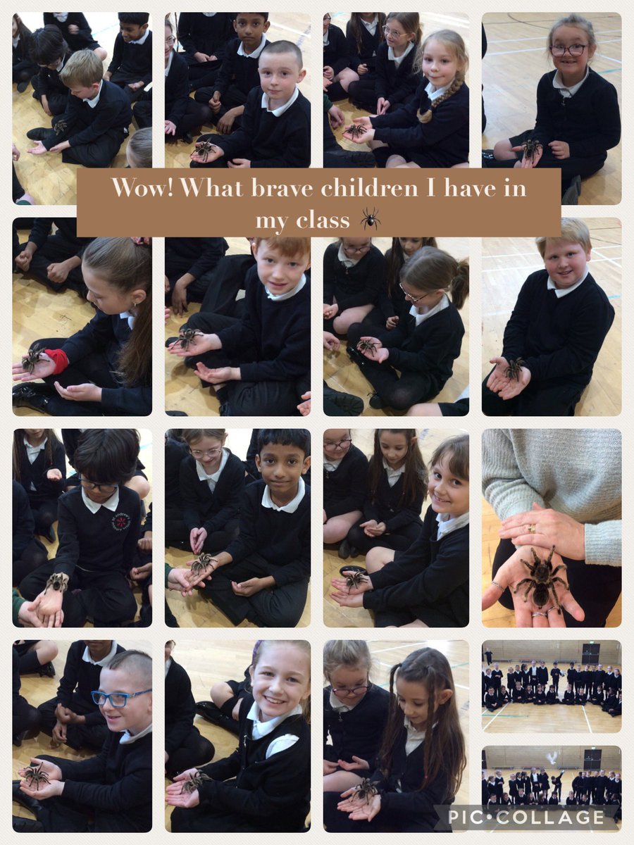 MrsSHastings's tweet photo. Well what an excellent start to our summer term project. Thank you to @Ani_Interactive for kicking off our launch in style. I don’t know who had the most fun the adults or the children 🤣 https://t.co/ROmpUmmG5K