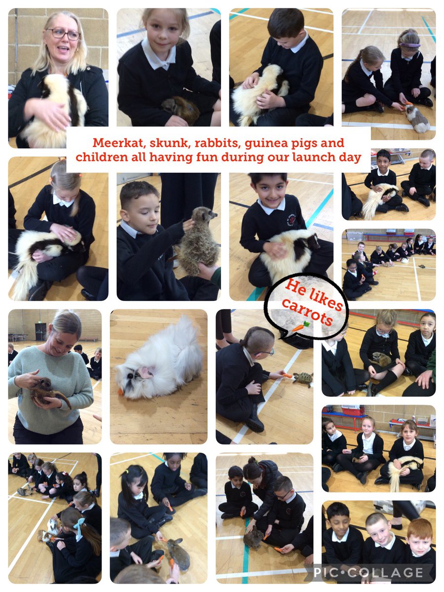MrsSHastings's tweet photo. Well what an excellent start to our summer term project. Thank you to @Ani_Interactive for kicking off our launch in style. I don’t know who had the most fun the adults or the children 🤣 https://t.co/ROmpUmmG5K