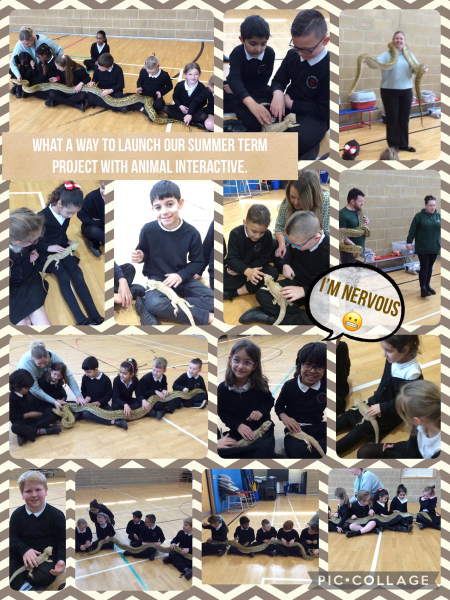 MrsSHastings's tweet photo. Well what an excellent start to our summer term project. Thank you to @Ani_Interactive for kicking off our launch in style. I don’t know who had the most fun the adults or the children 🤣 https://t.co/ROmpUmmG5K
