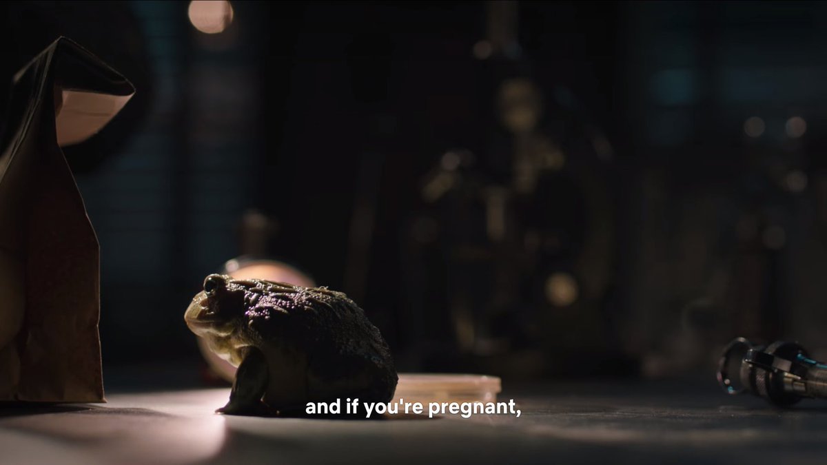 nocontextrvd's tweet photo. https://t.co/sfbHXc86LX