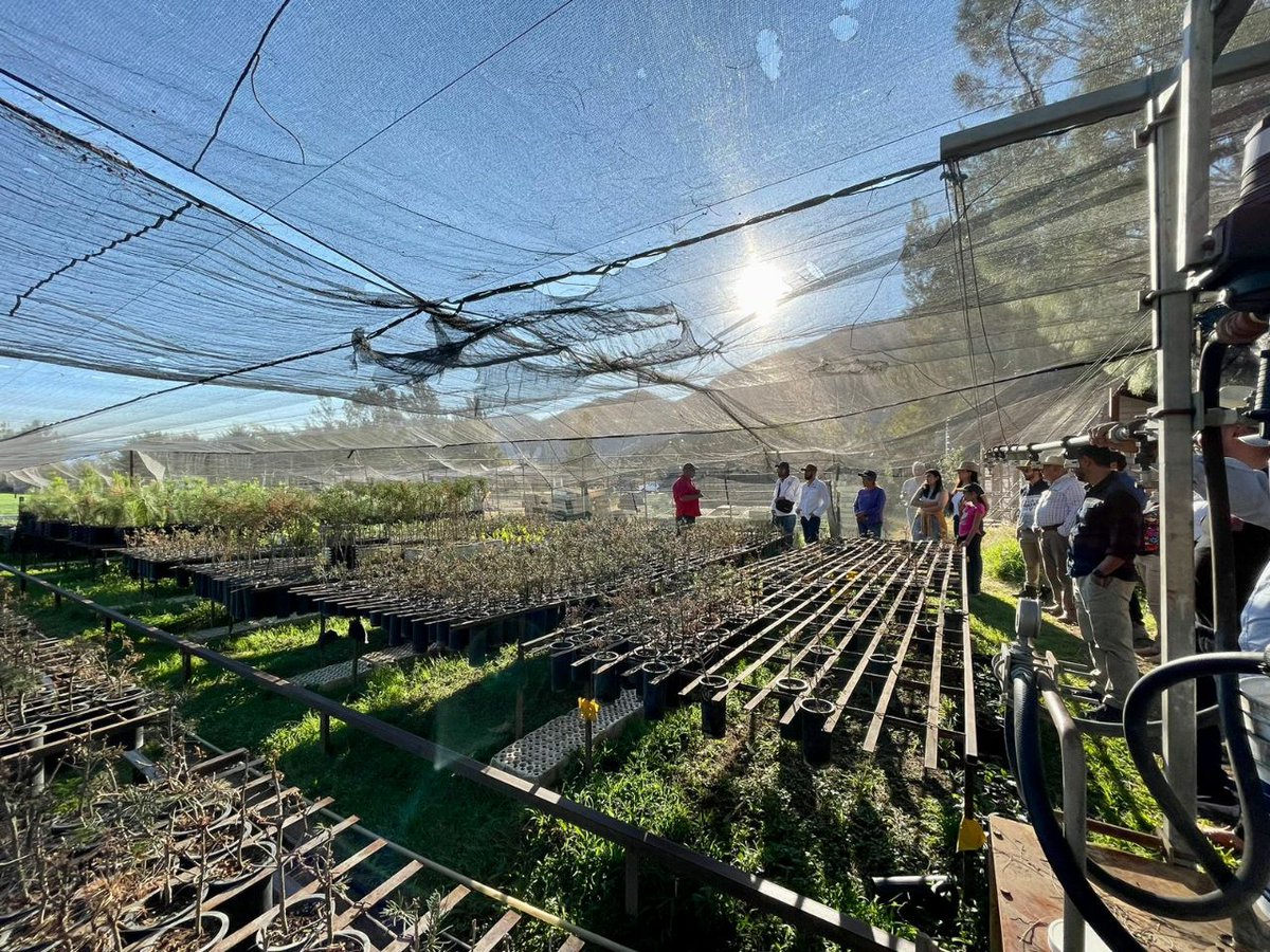SemadetJal's tweet photo. Dentro de la agenda de este encuentro, visitamos el vivero forestal #ElAtajo, conocimos parte de la red de senderos y conversamos con grupos socio-productivos que impulsan huertos comunitarios y biofábricas en la región, con el acompañamiento de @paisajebioculto y @LaJISOC. https://t.co/cwnaatfpLc