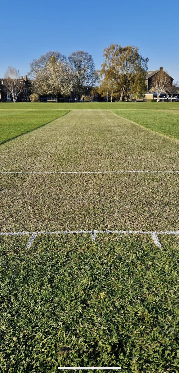 Liam Cope tweet media