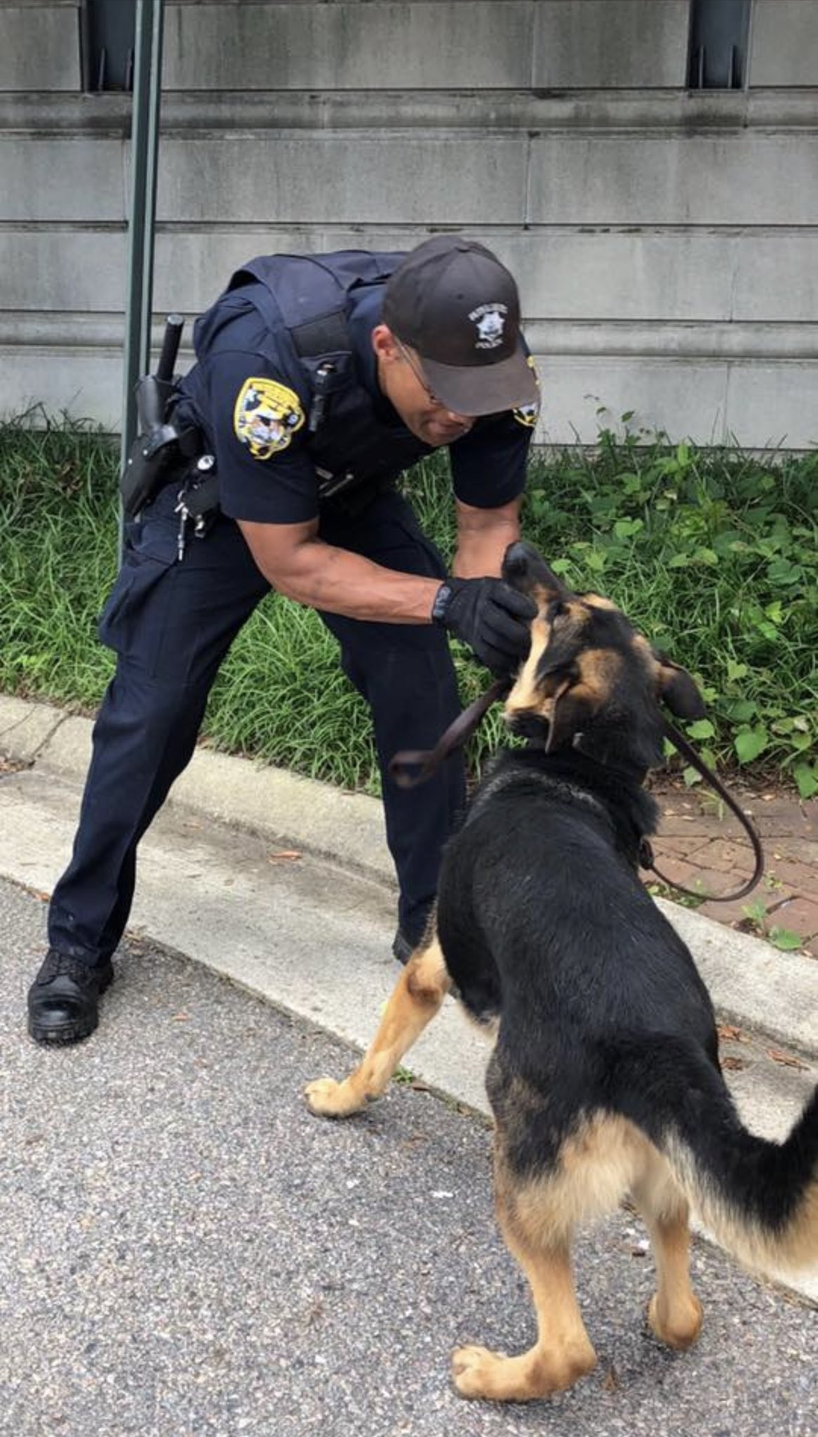 Petersburg Police (PBurgPolice) / Twitter