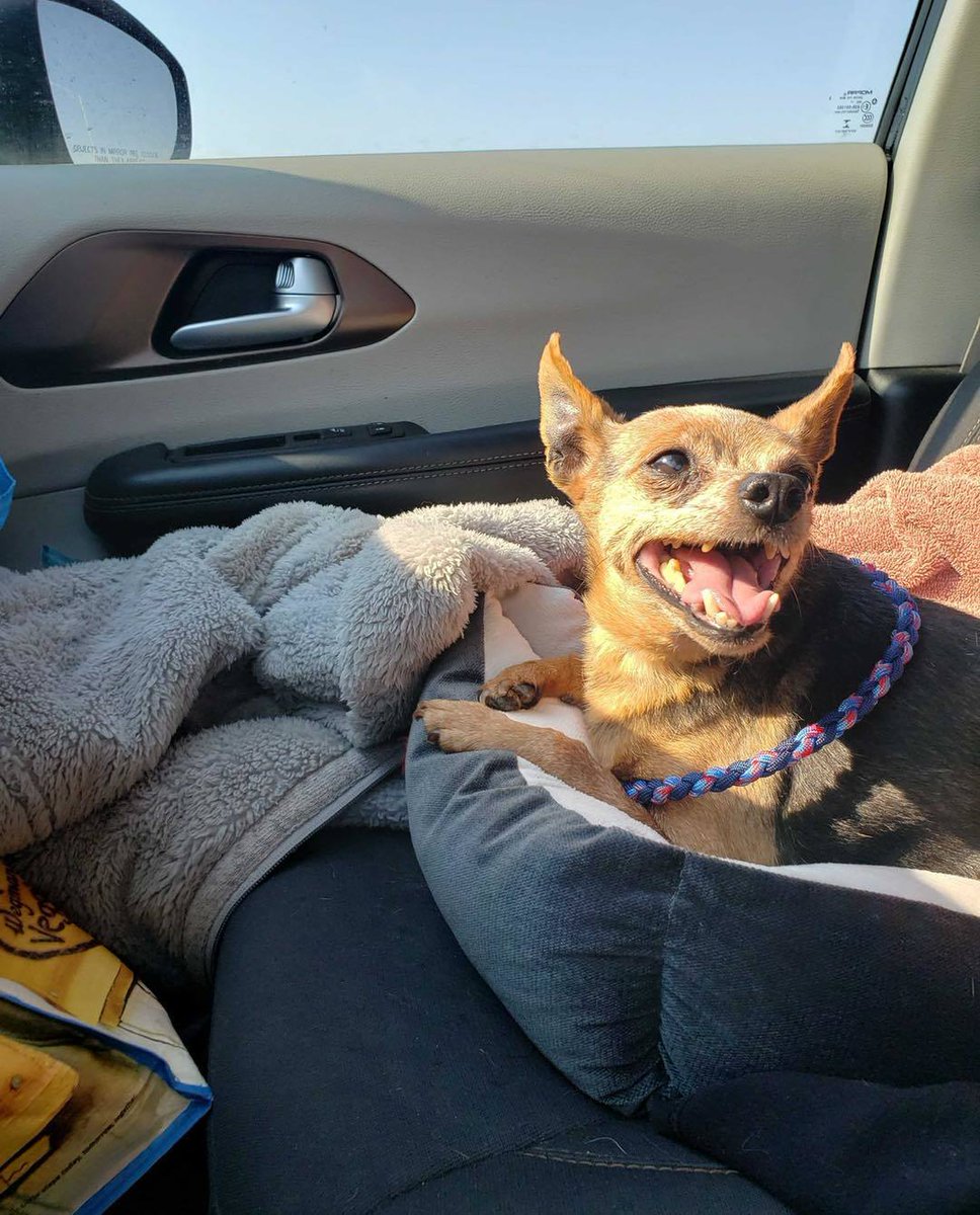 coldwateronline's tweet photo. Hey Everyone sorry to say but we will be closed on April 25th From 11:30am to 1:00pm Queso has us on the run with new and exciting learning opportunities... Every time we close it is to better us for you and your pets!!!!💜💚💗💜💚💙💛 https://t.co/4YHhxq8x8X
