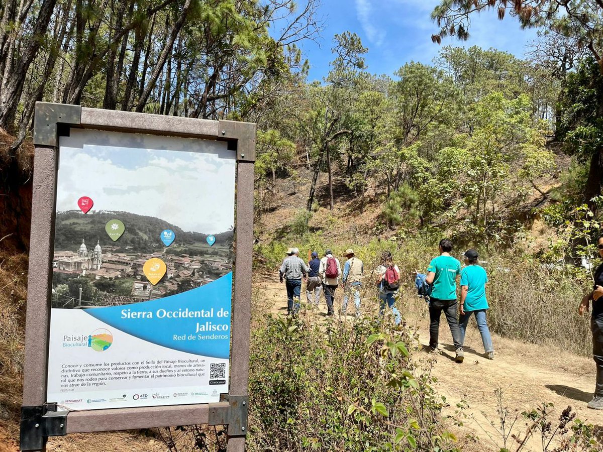 SemadetJal's tweet photo. Los municipios de #Mascota, #SanSebastiánDelOeste, #TalpaDeAllende y #Atenguillo se certificaron como el primer #PaisajeBiocultural de Jalisco el pasado 27 de enero, y son un ejemplo a seguir para otros territorios interesados en este modelo. https://t.co/4EjyWH8BDV