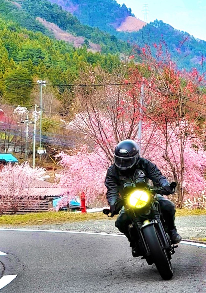 彩り豊かな里山をのんびりと(∩´∀`∩)
〈県道24号／山梨 道志村〉