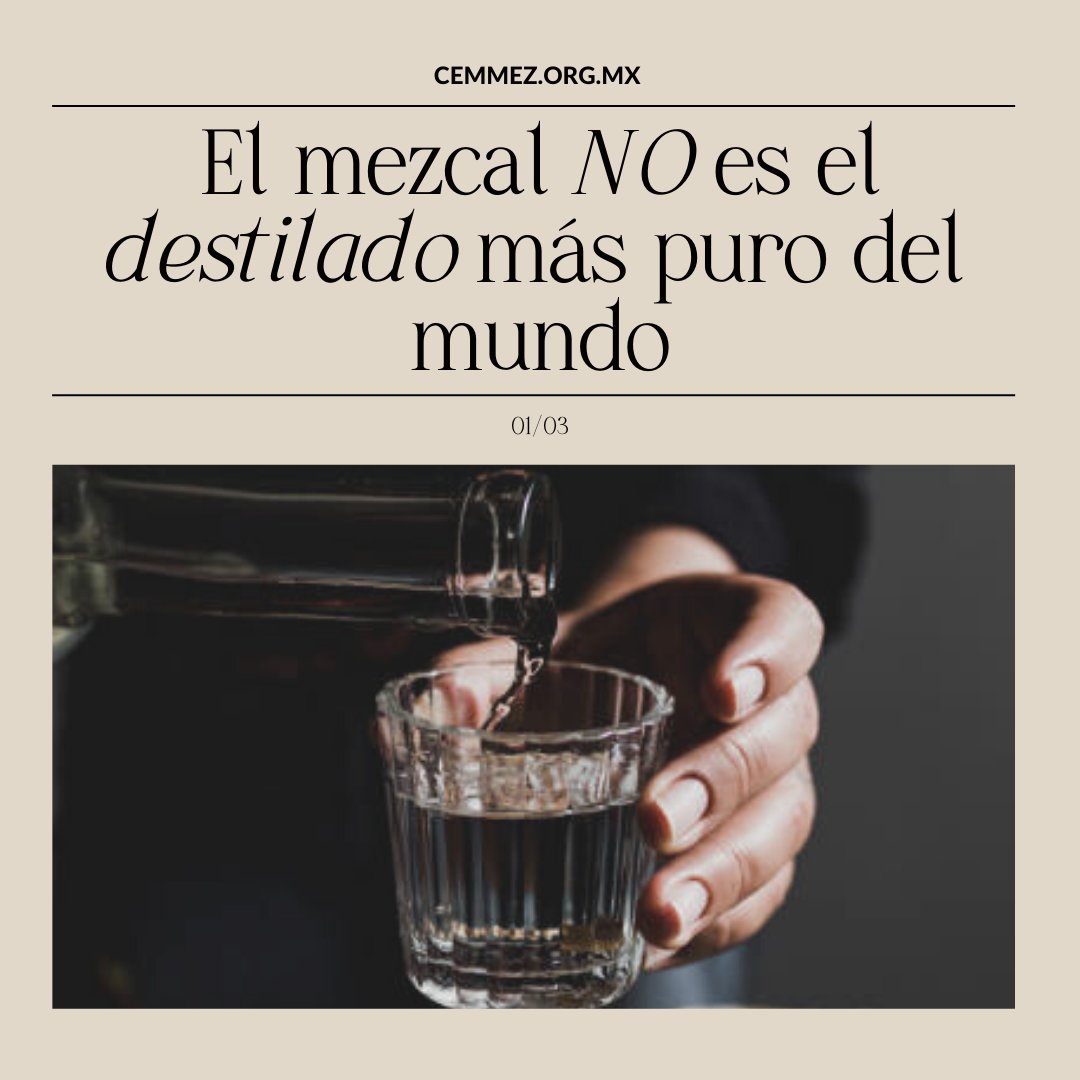 Cemmez_'s tweet photo. ¿Sabías qué el mezcal NO es el destilado más puro del mundo?

#mezcal #maguey #agave #culturadelmezcal #destiladosmexicanos #cemmez https://t.co/MvtWICRyji