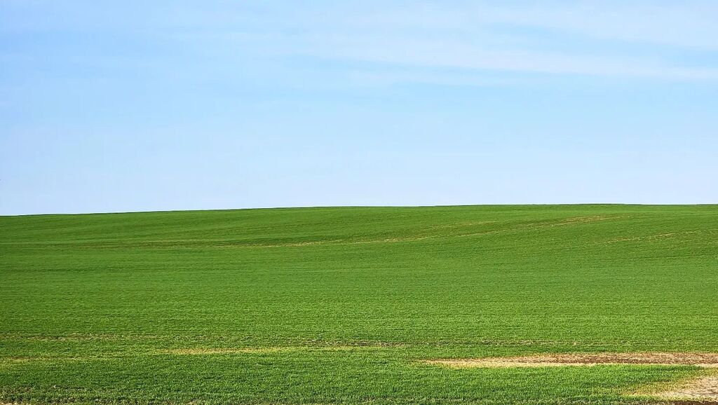 Deflated Windows background...

#farm #field #spring #green #windowbackground #kawarthas instagr.am/p/CrRZbdovzun/