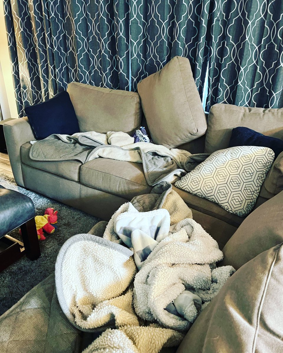 LelandShow's tweet photo. When you come home to find the dogs have had a rave of some sort. ๐๐ณ #funny #dogs #dogsarebetterthanpeople #itsadoglife #doglife https://t.co/GakuYKfEQ1