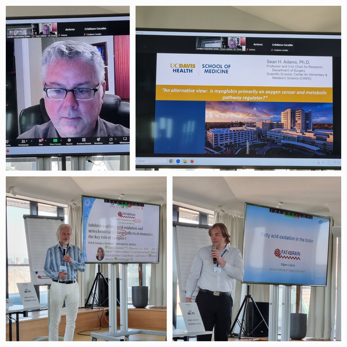 fat4brain tweet media