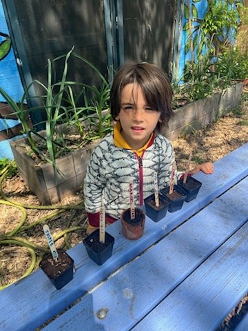 HeyBccs's tweet image. Parents Plus Shared Learning with Students = The BCCS Magic and Growth! Today our parents joined their children in our Garden for a planting activity that will not soon be forgotten. @CommunitySupt16 @D16LEADS @CMChiOsse @NequanMclean @JabariBrisport @stefanizinerman