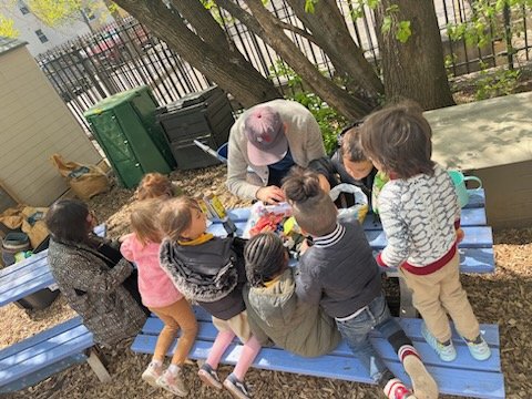 HeyBccs's tweet image. Parents Plus Shared Learning with Students = The BCCS Magic and Growth! Today our parents joined their children in our Garden for a planting activity that will not soon be forgotten. @CommunitySupt16 @D16LEADS @CMChiOsse @NequanMclean @JabariBrisport @stefanizinerman