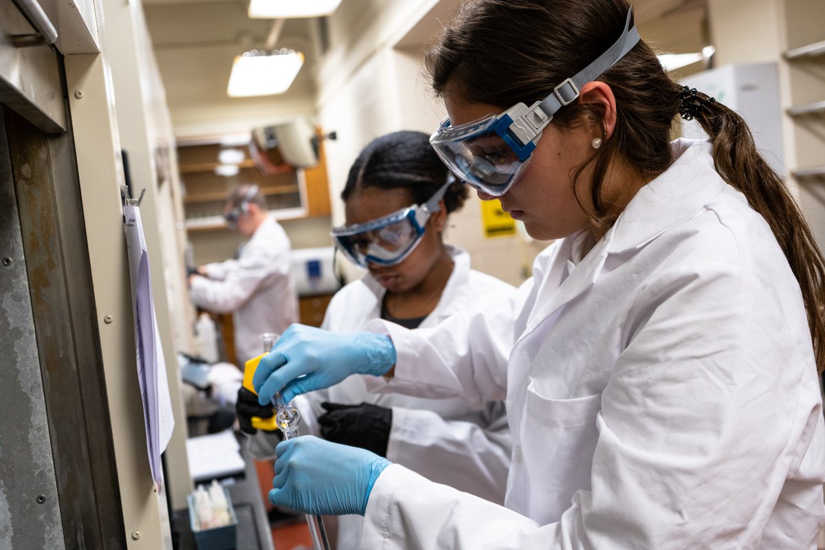 Did you know Loyola's Pre-Health students are accepted to professional schools at nearly twice the national average? Learn how Loyola prepares students for careers in a variety of health fields while providing access to real-world experience >> pulse.ly/3xw3st6xuw