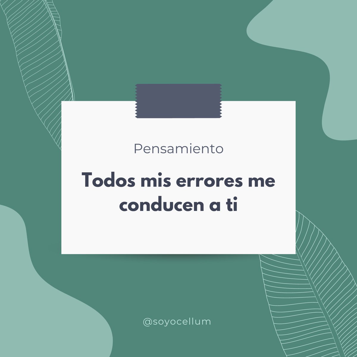 ø — Ocellum❞ tweet media