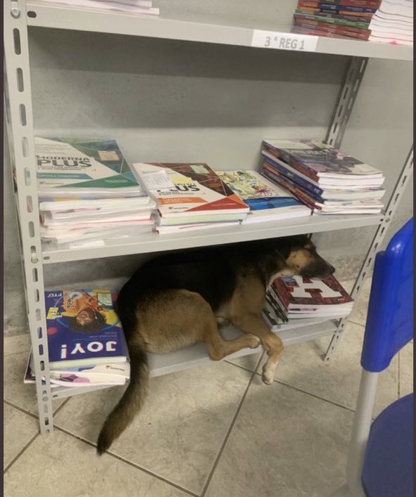PuroSucoDoBr's tweet photo. https://t.co/U0Tu6f4uax