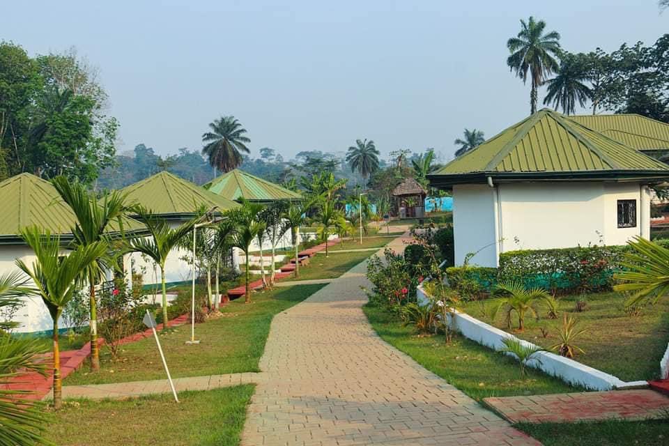 PatrickOvono's tweet photo. Qui connais cet endroit?
00237 692773136
0033 661563273
6 97 97 64 66
https://t.co/tlAEY25I0q
Info@lulutilodge.com
#Dreamtourscameroun #LulutiResort
#Mintoul
#VisitCameroon #BienvenueAuCameroun #VisiterLeCameroun #DestinationCameroun #TravelAfrica
#CamerounAfriqueEnMiniature https://t.co/3ffGpxx8mi