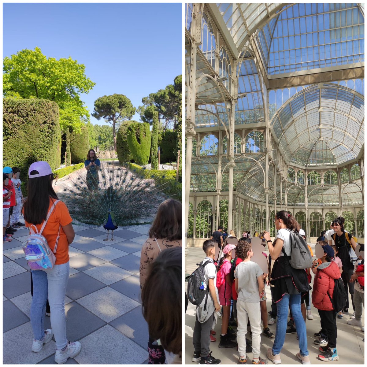 ceipasturias's tweet photo. El Parque del Buen Retiro ha recibido la visita de los alumnos/as de 3°. ¿Sabíais que el Retiro ocupa lo mismo que más de 100 campos de fútbol y tiene más de 300 años? https://t.co/h08QqAiJYX