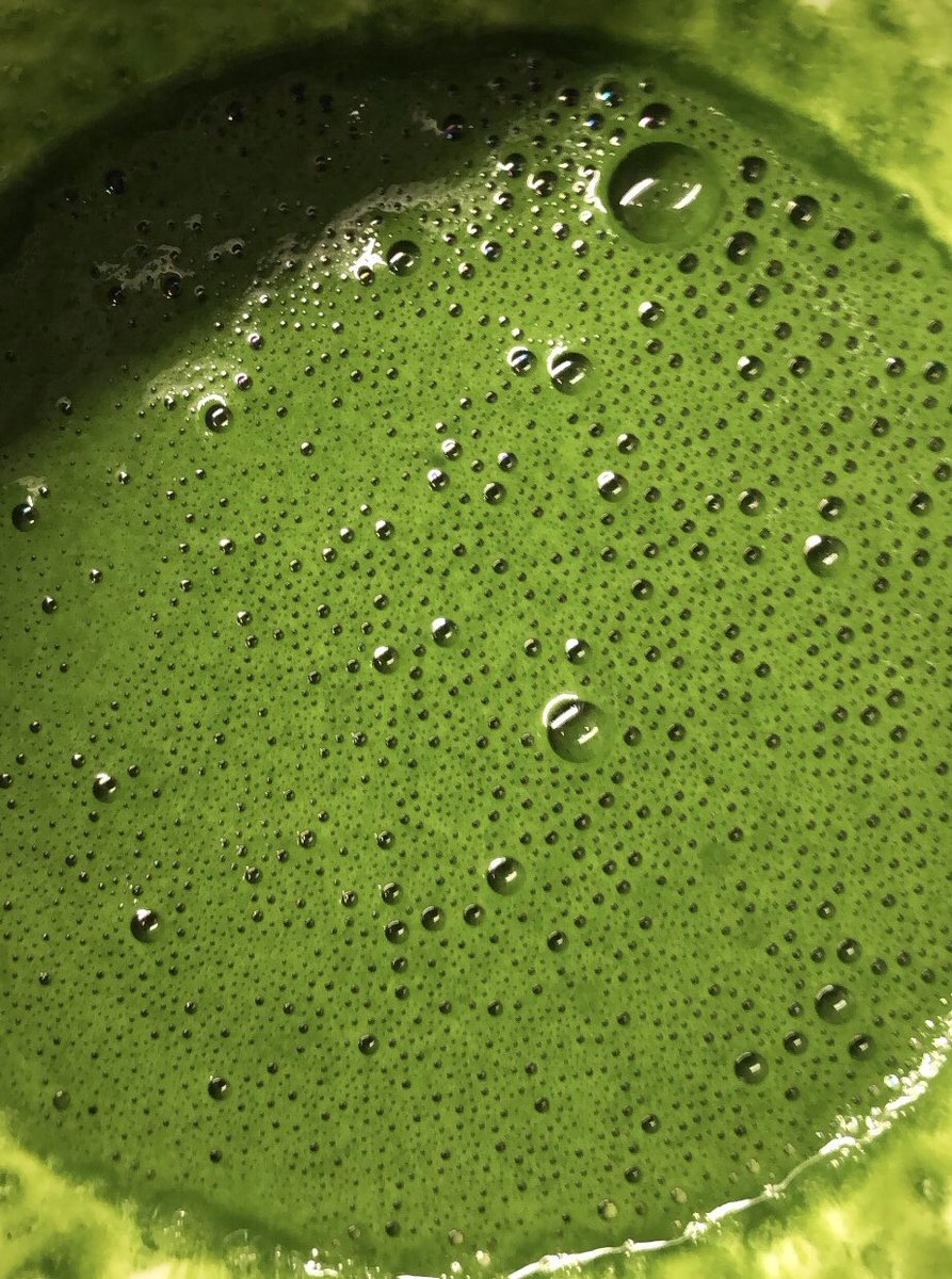 𓆩⁵⁴𓆪. tweet media